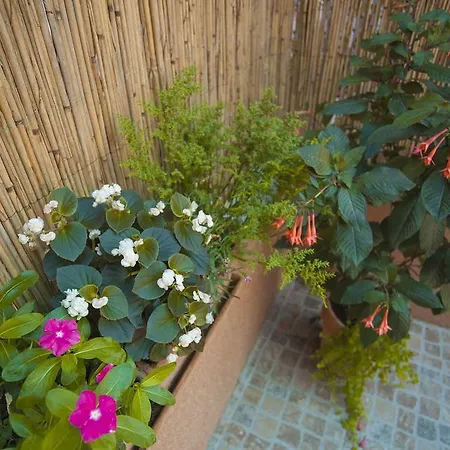 Appartement Rose Garden